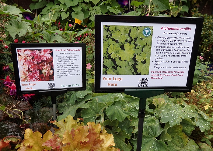 Joy of Plants Bed Cards 2