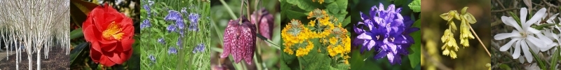 Spring banner