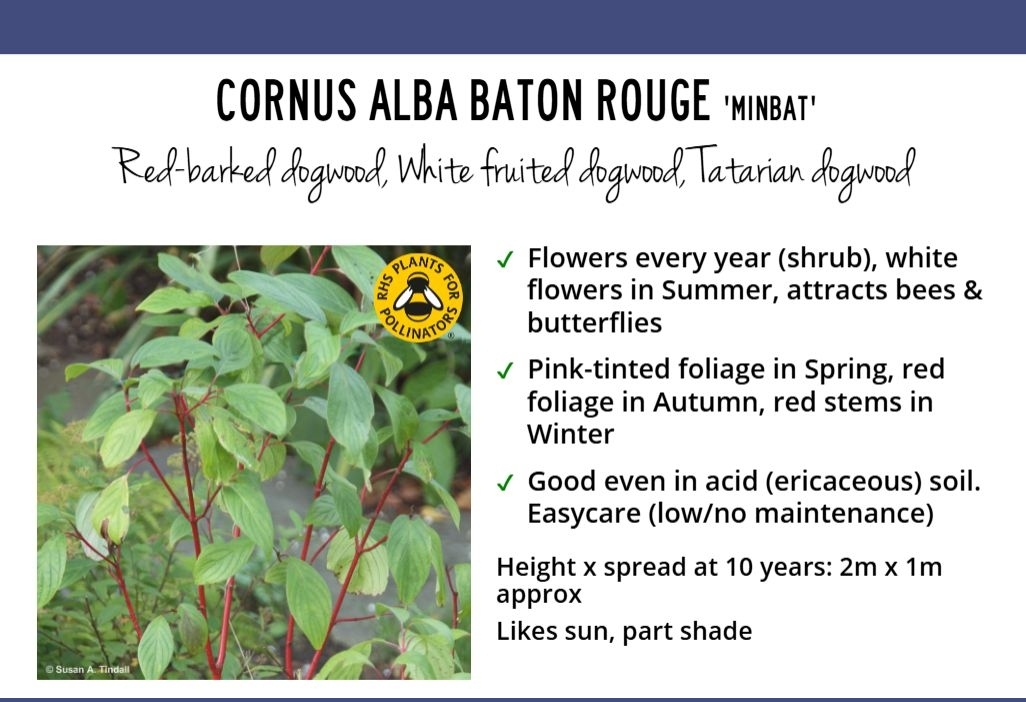 Bed Card with Pollinators logo