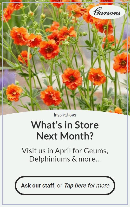 Tease Customers to Return