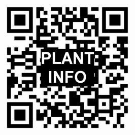 Plant Info QR code
